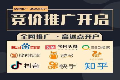 成功运用SEM技术提升网站流量的案例研究